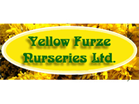 Yellow Furze Nurseries Ltd